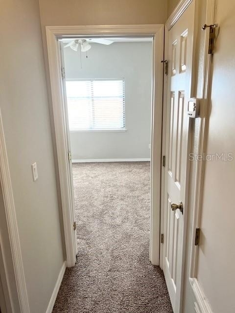 9640 Doris Lane - Photo 17