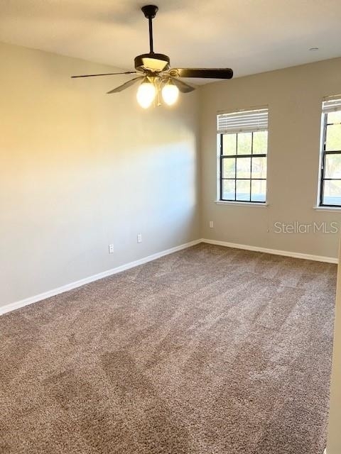 9640 Doris Lane - Photo 11