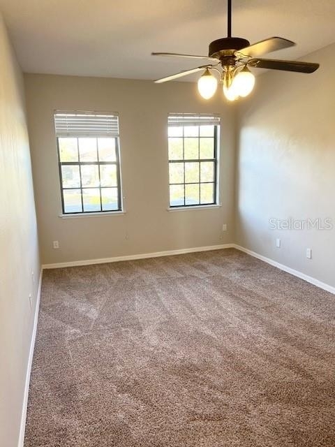 9640 Doris Lane - Photo 12