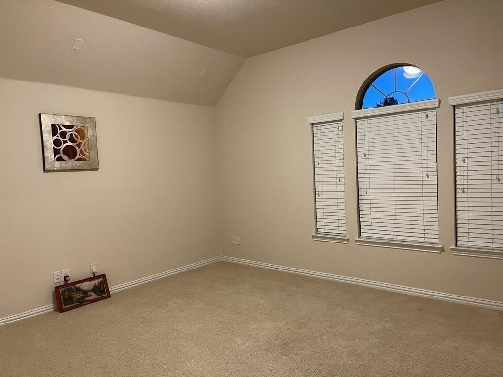 1013 Texas Star Court - Photo 22