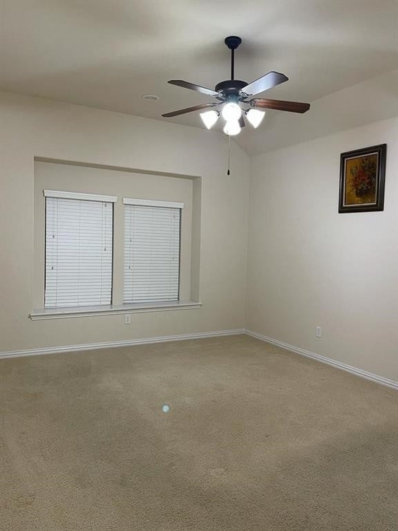 1013 Texas Star Court - Photo 20