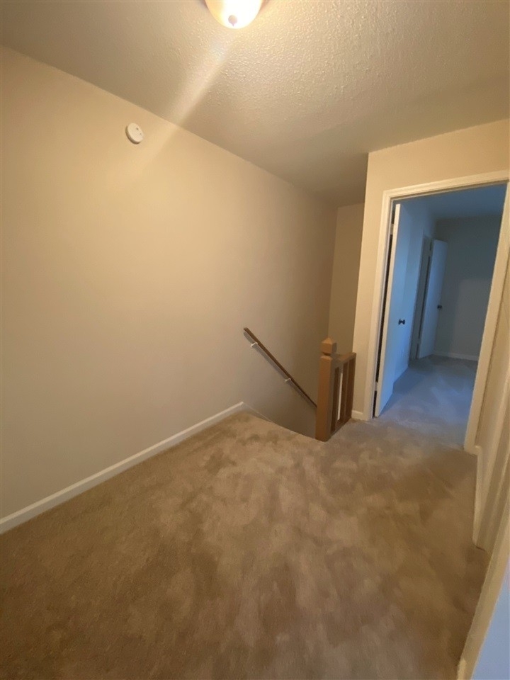 3701 Donovan Drive - Photo 23