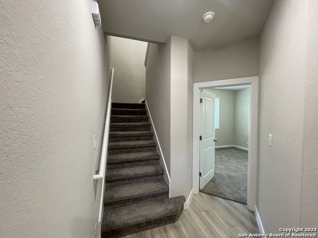 21543 Sir Walter Ln - Photo 11