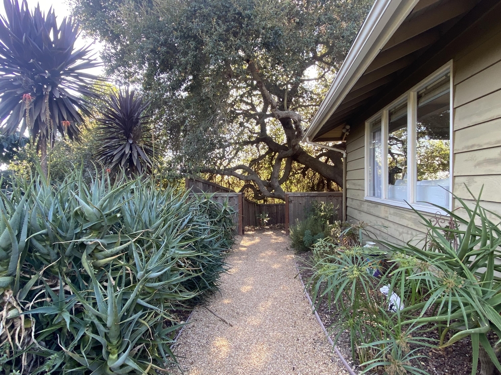 2866 Foothill - Photo 20