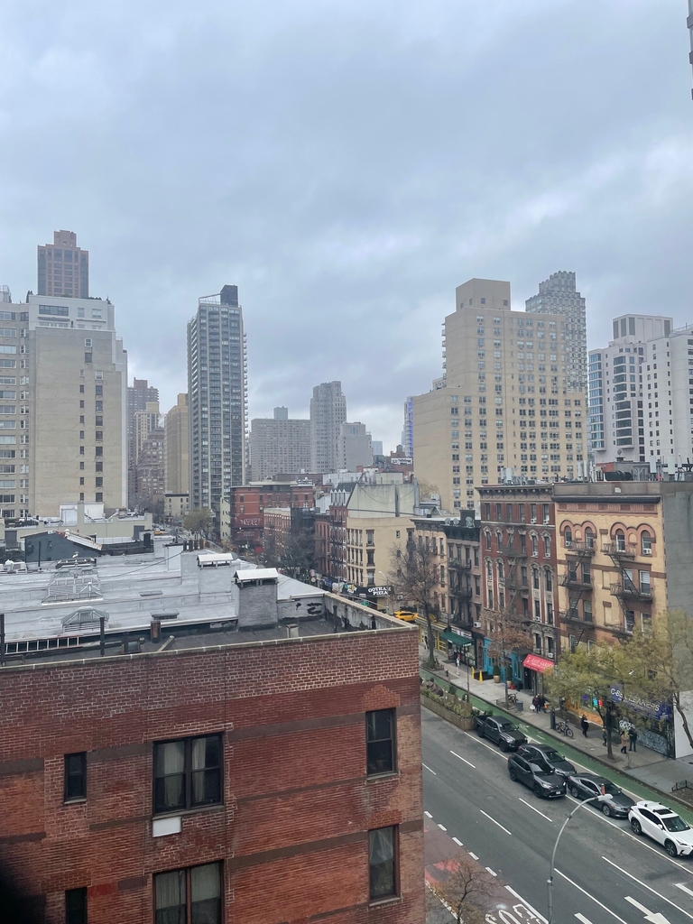 401 East 88th Street, 3c - Photo 9