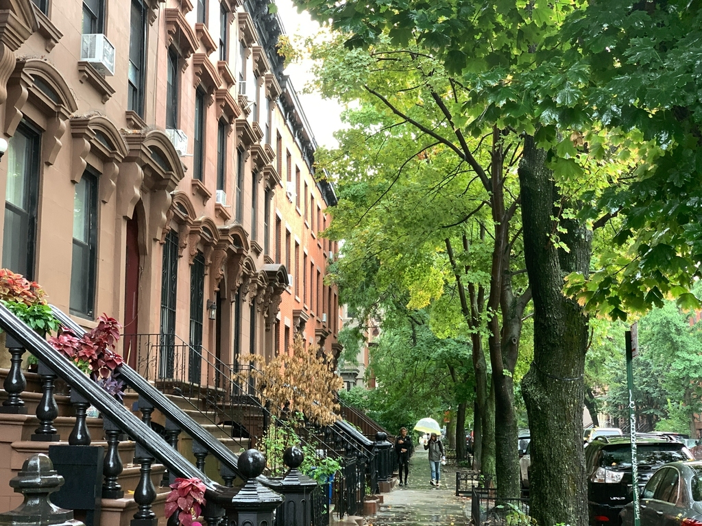 Cumberland Street at Fort Greene Park - Photo 9