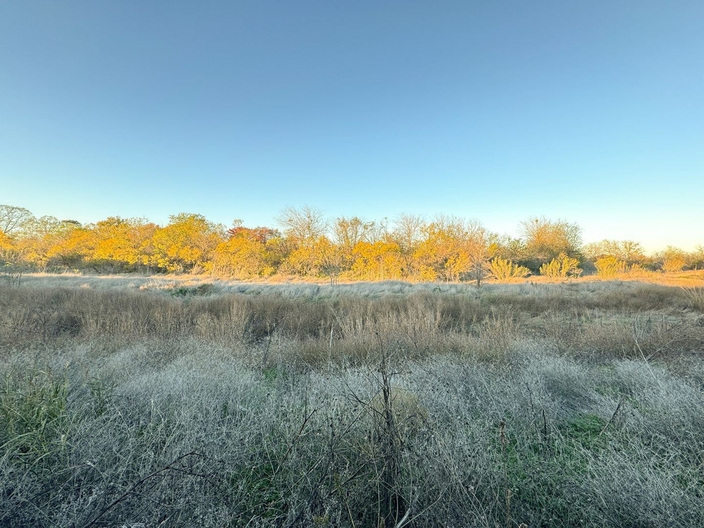 366 Silver Springs Bend - Photo 17