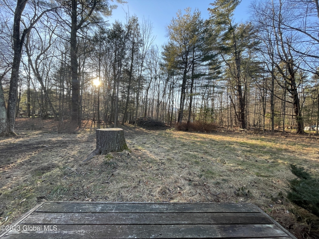 29 Mink Hollow Road - Photo 16