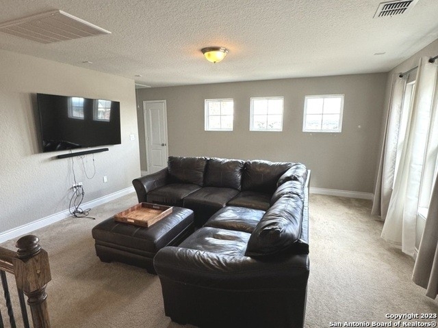 27323 Rio Bend - Photo 11