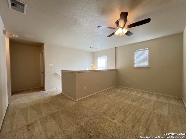 10707 Terrace Plain - Photo 13