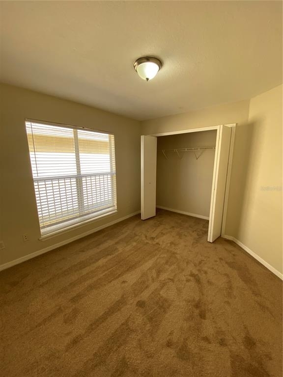 4007 Alexander Palm Court - Photo 6