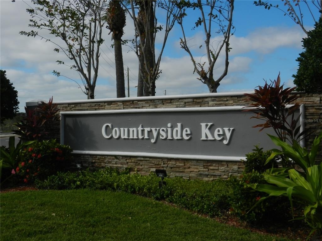 338 Countryside Key Boulevard - Photo 1