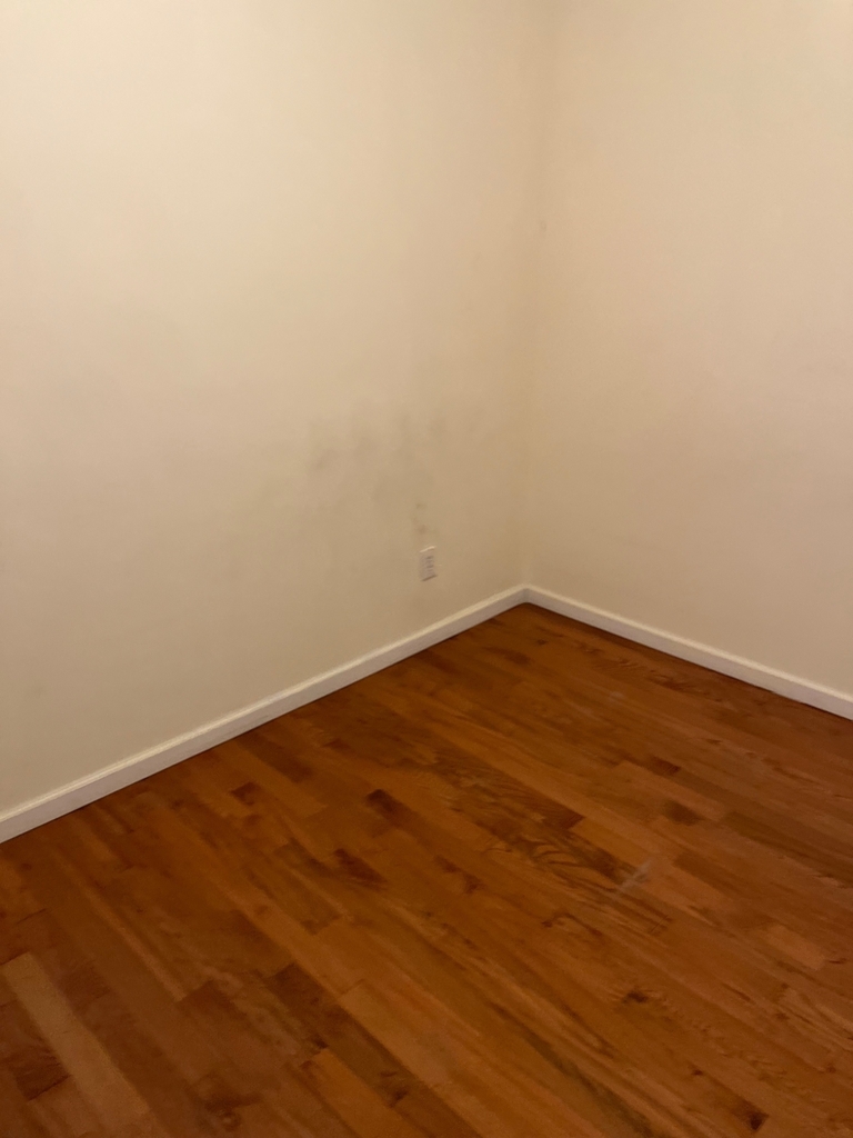 1051 Bergen Street - Photo 4