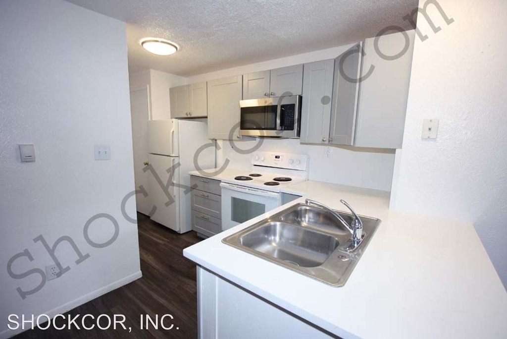 1315 Corona Street - Photo 1