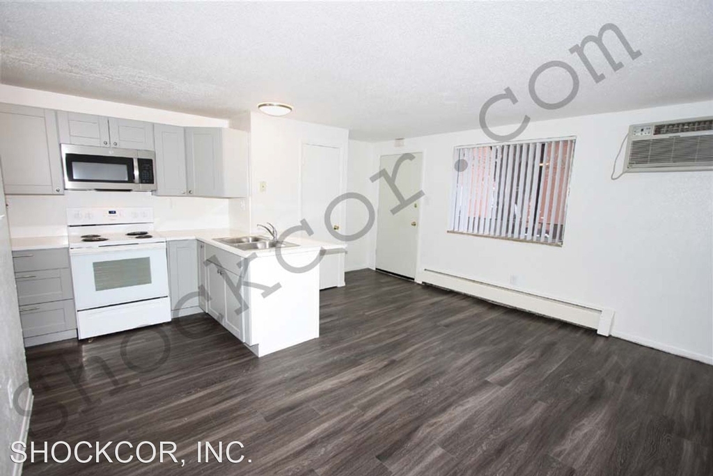 1315 Corona Street - Photo 0