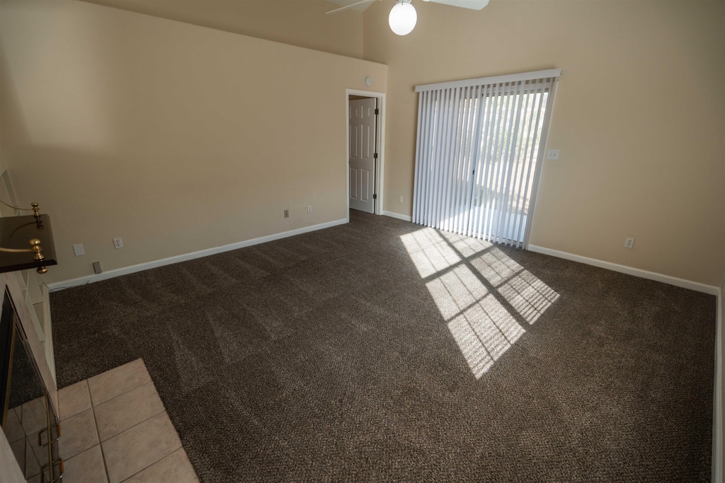 3825 Mcfarlane Drive - Photo 12