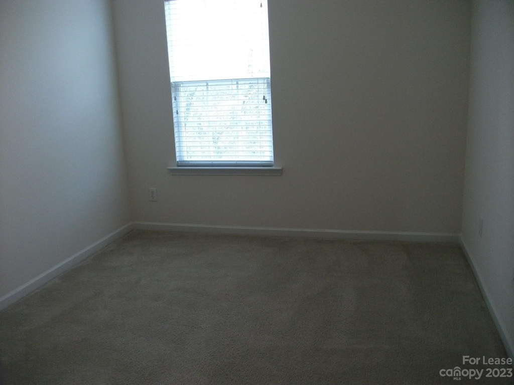 1309 Smokey Quartz Lane - Photo 10