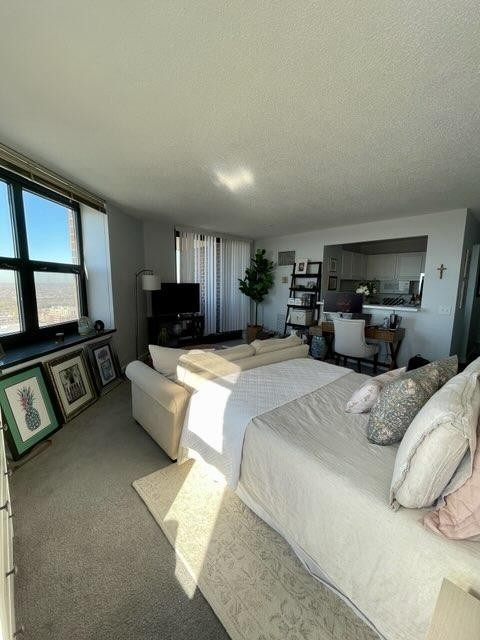 3660 N Lake Shore Drive - Photo 2