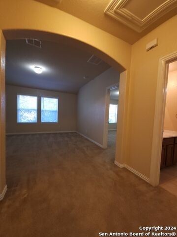 3538 Arroyo Grande - Photo 15