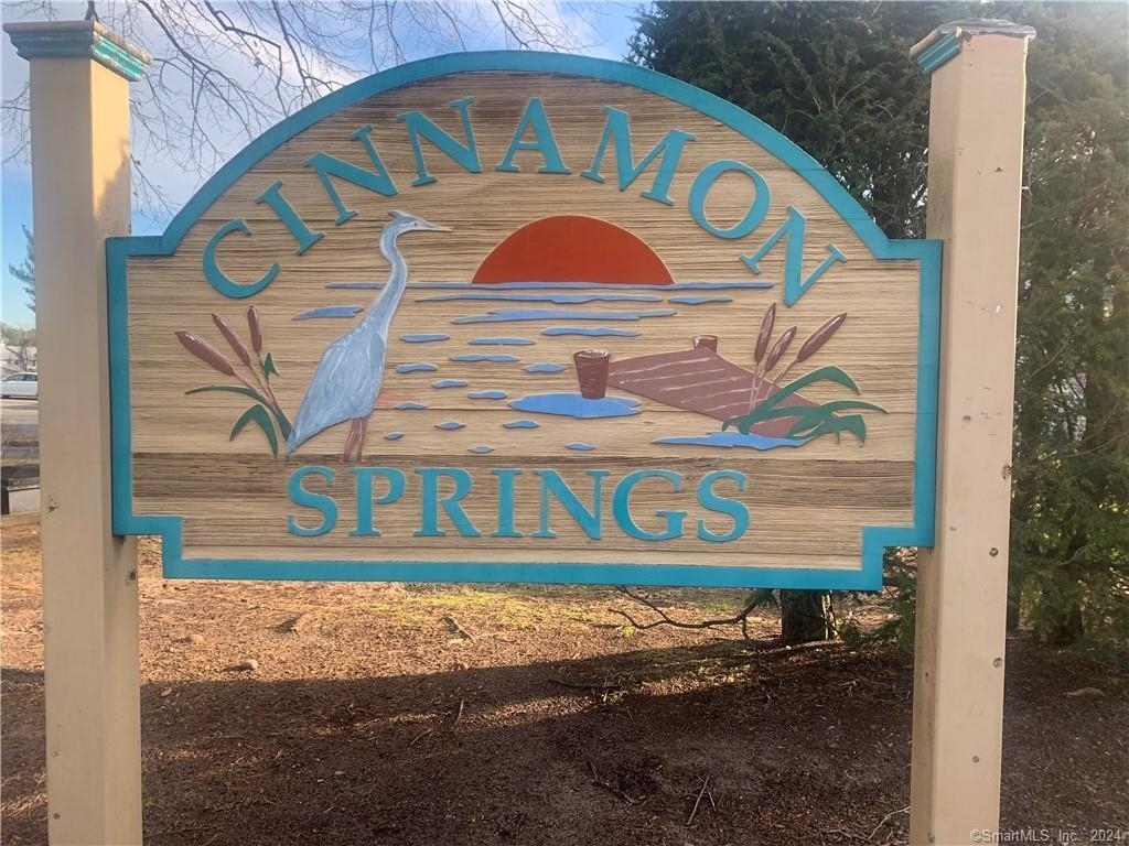 15 Cinnamon Springs - Photo 18