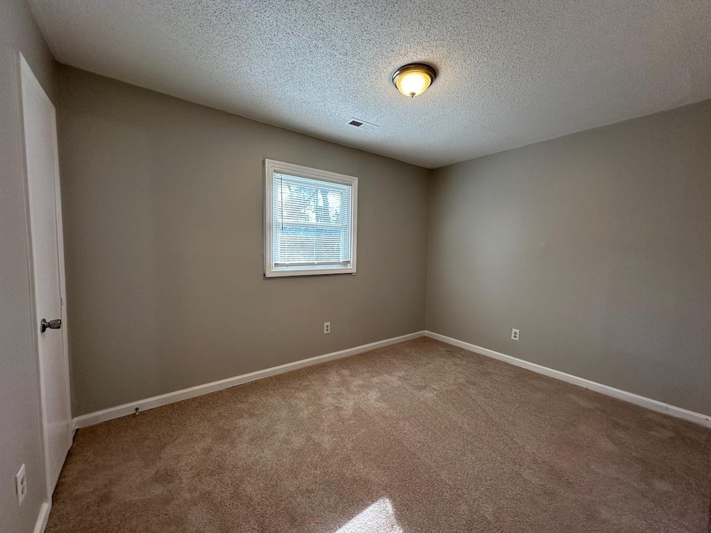 1128 Savannah Drive - Photo 11