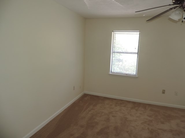 2808 Ferret Court - Photo 15