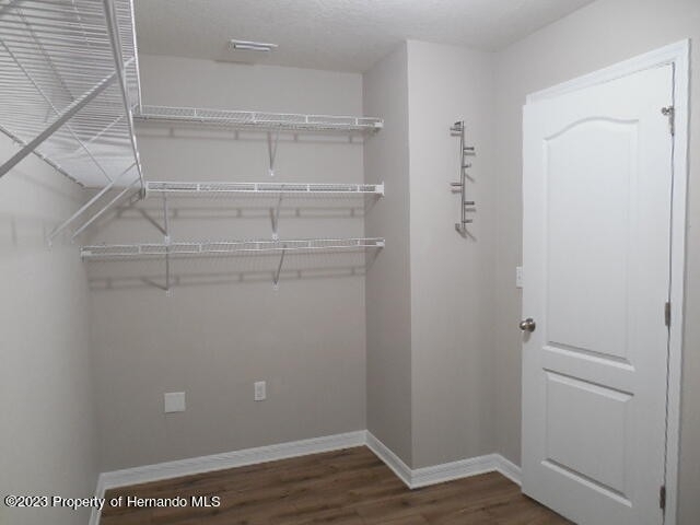 13619 Hunters Point Street - Photo 19