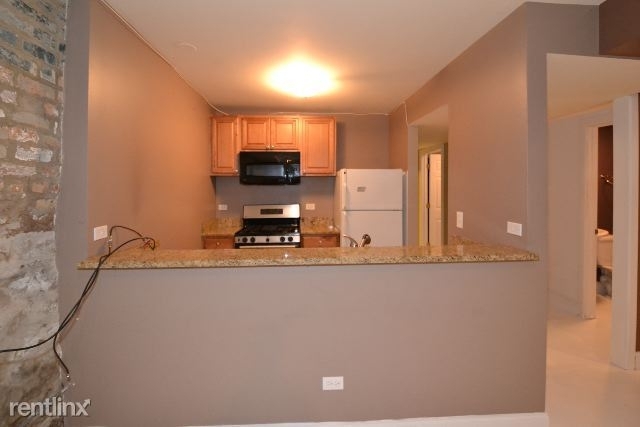 241 W. Scott, Unit M - Photo 4