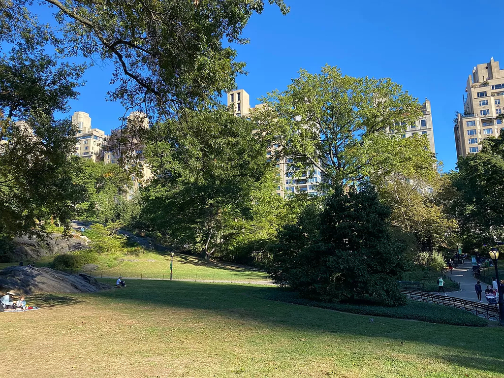 West 55th Street & 7th Ave - Photo 5