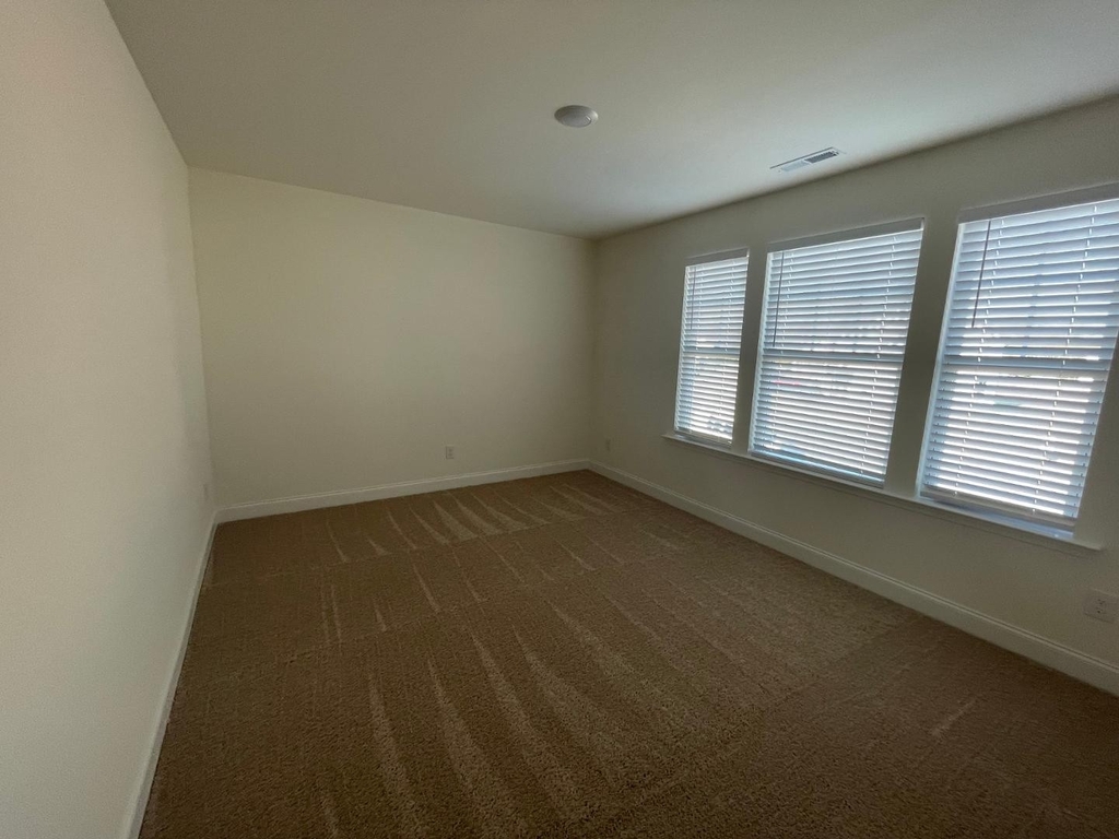 821 Golden Plum Lane - Photo 15