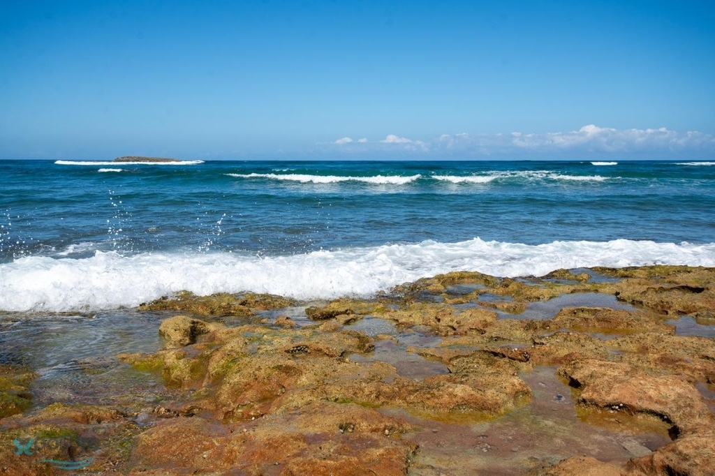 0 Chalets De La Playa - Photo 34