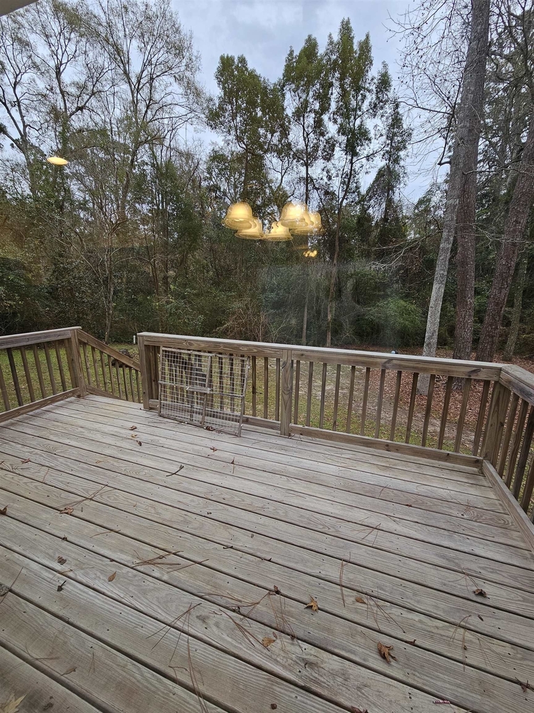 8224 Hunters Ridge Trail - Photo 28