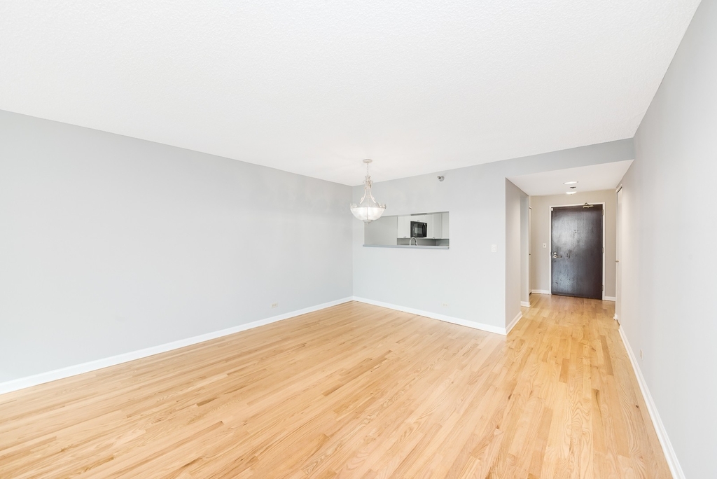 195 N Harbor Drive - Photo 4