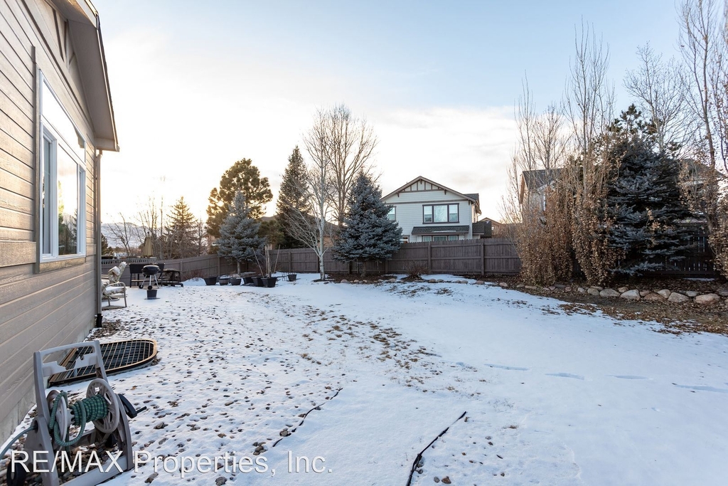 9922 Red Sage Drive - Photo 47