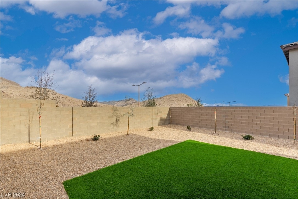 11624 Desert Hollow Avenue - Photo 36