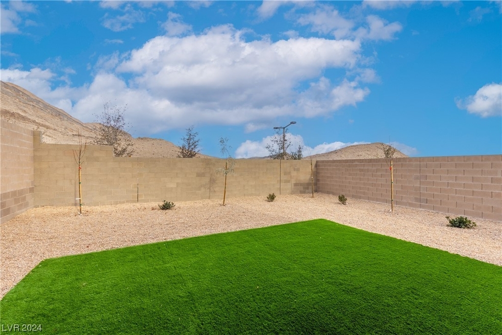 11624 Desert Hollow Avenue - Photo 35