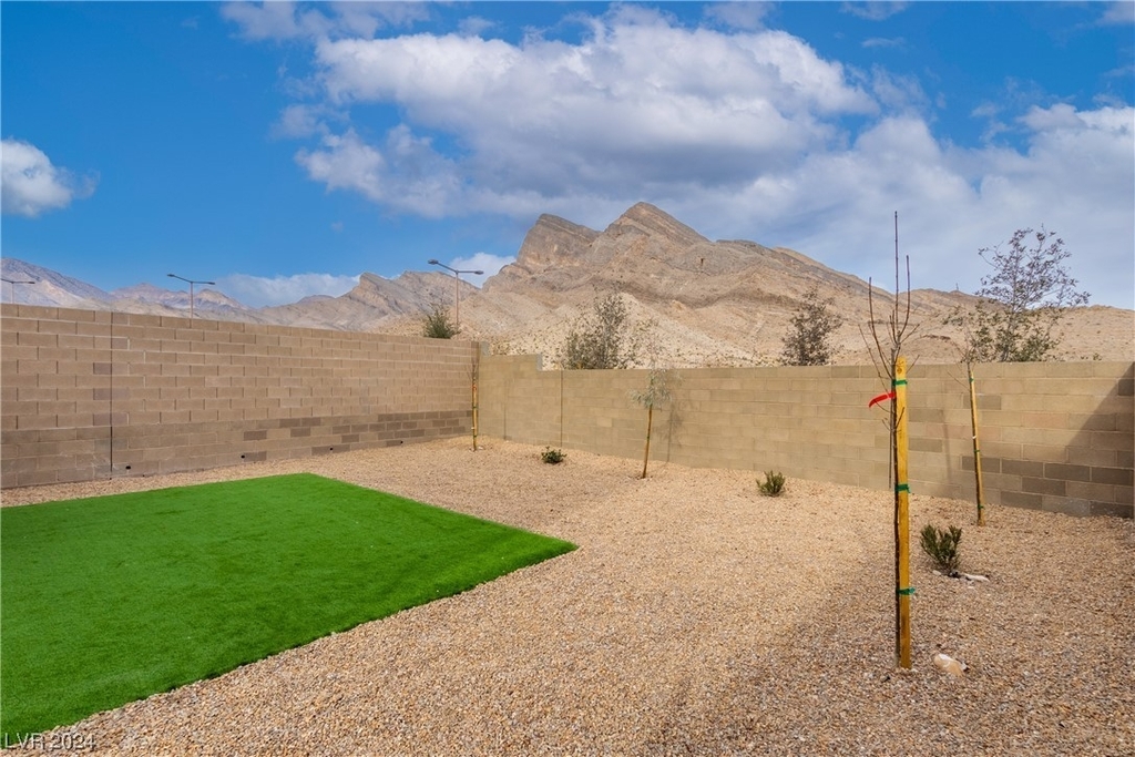 11624 Desert Hollow Avenue - Photo 33