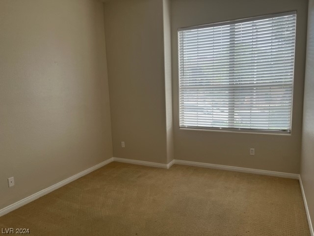 10205 Imperial Pointe Avenue - Photo 18