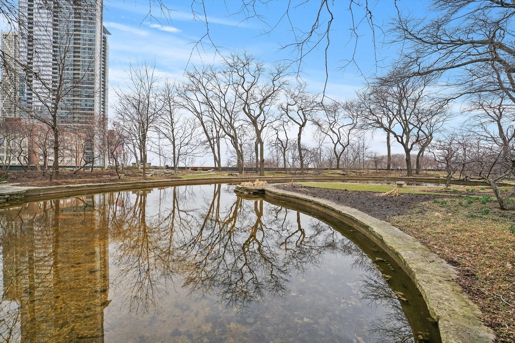 505 N Lake Shore Drive - Photo 13