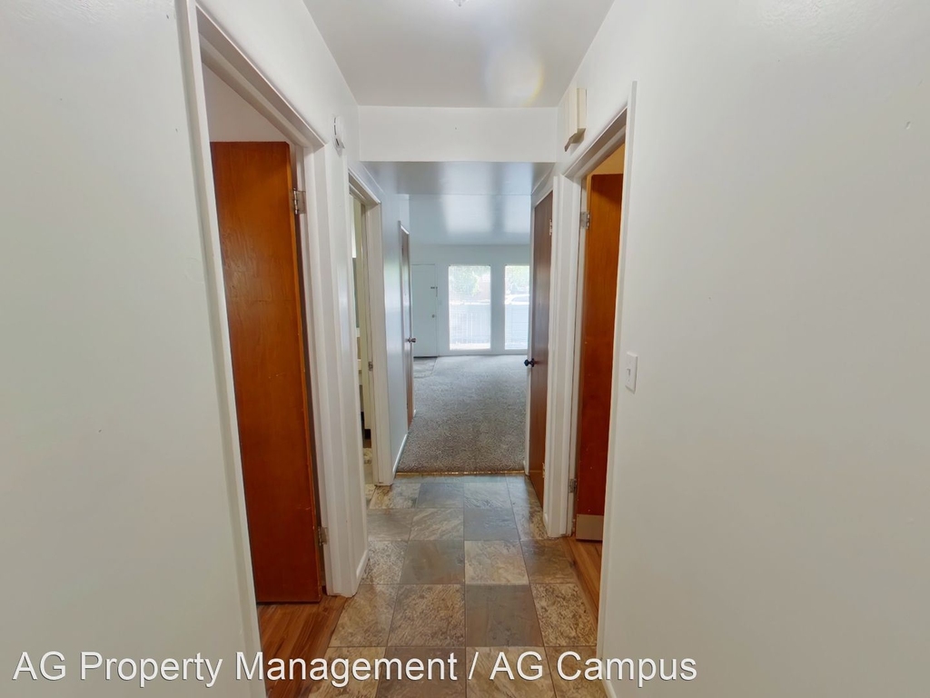 585 East 19th Avenue - Photo 11