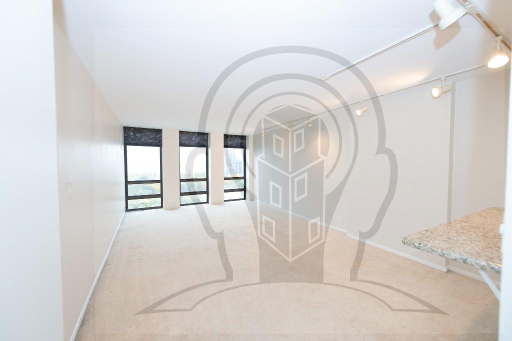 1660 N La Salle Drive - Photo 8