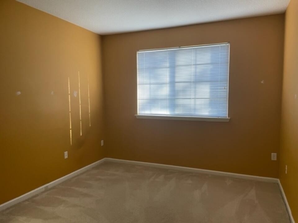 9833 Baywinds Drive - Photo 9