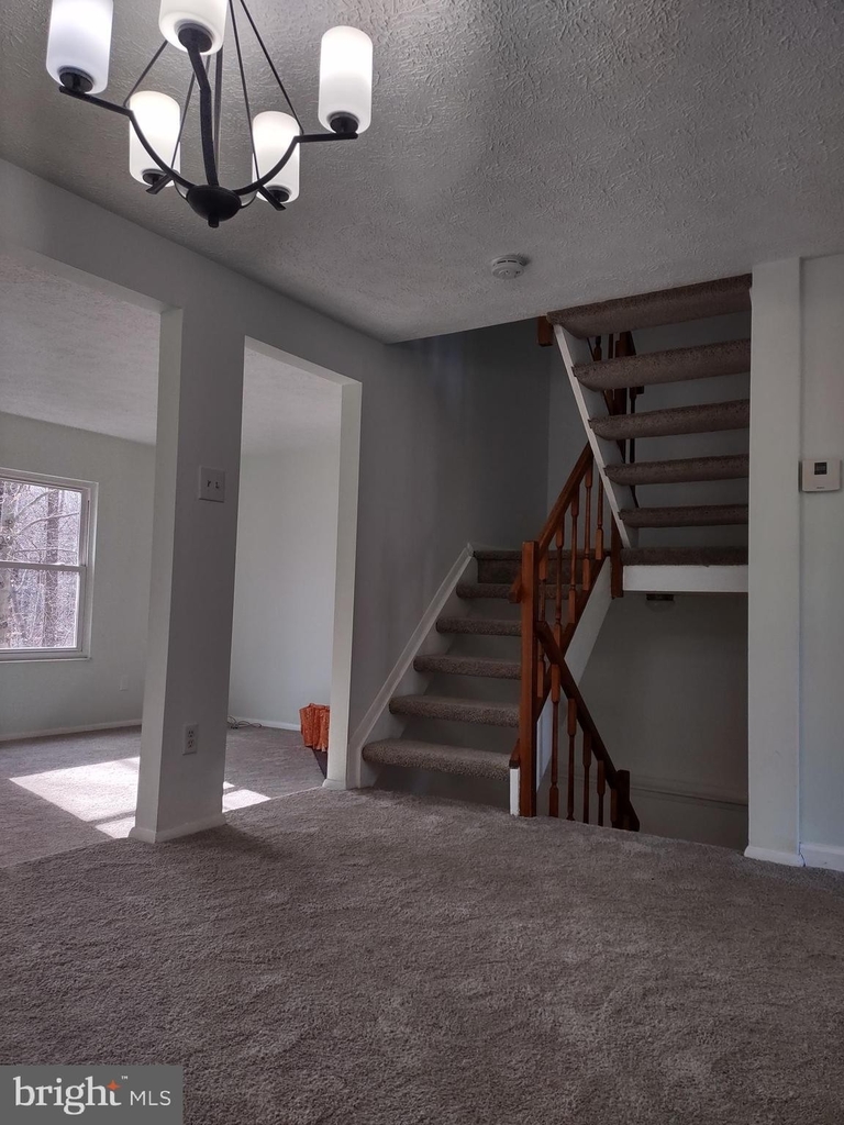 8108 Steeple Chase Court - Photo 4