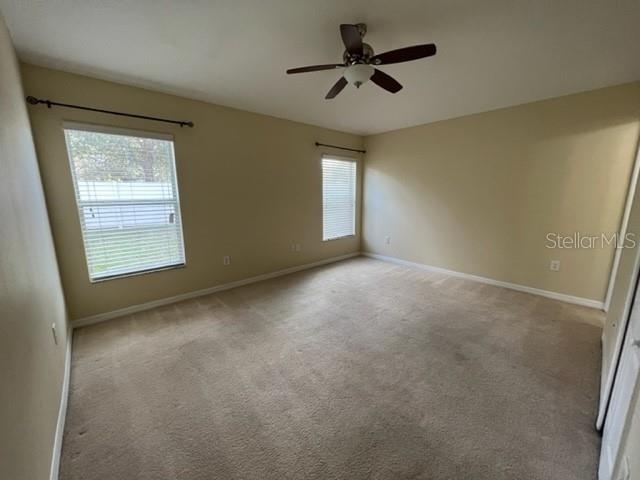 7734 Maroon Peak Drive - Photo 10