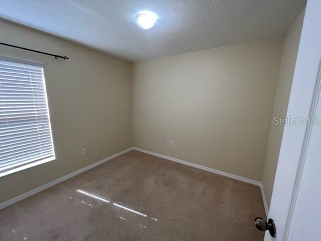 7734 Maroon Peak Drive - Photo 15