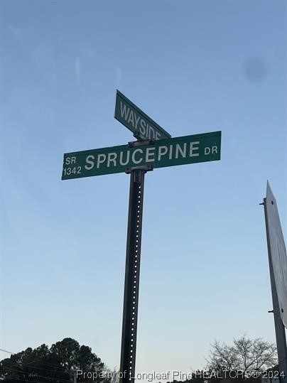 212 Sprucepine Drive - Photo 4