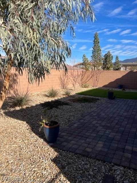 2910 Ventana Ridge Avenue - Photo 13