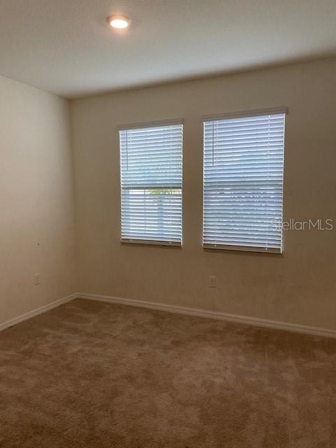 3716 Autumn Amber Drive - Photo 31