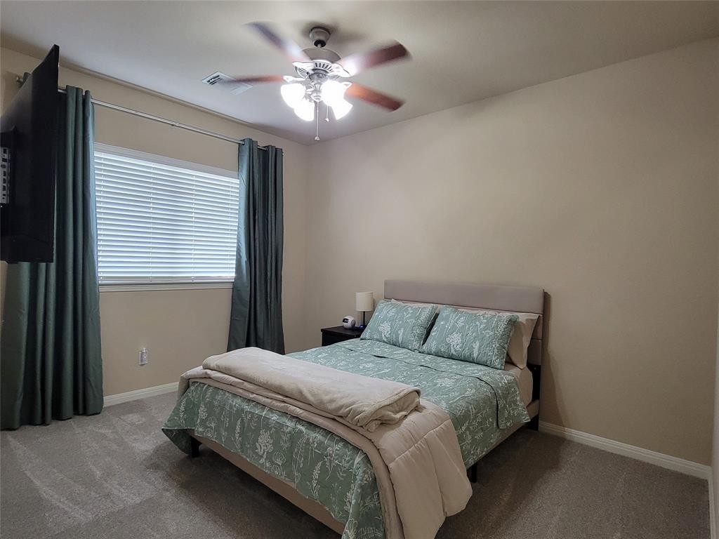 3936  Sapphire Loop - Photo 14