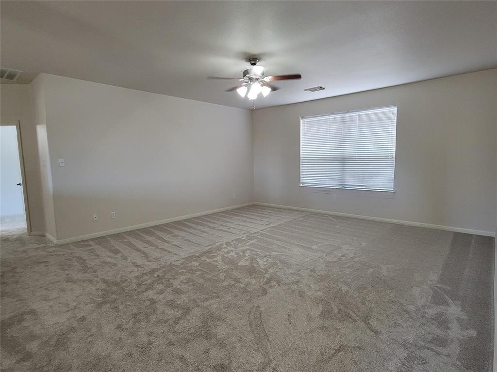 3936  Sapphire Loop - Photo 12